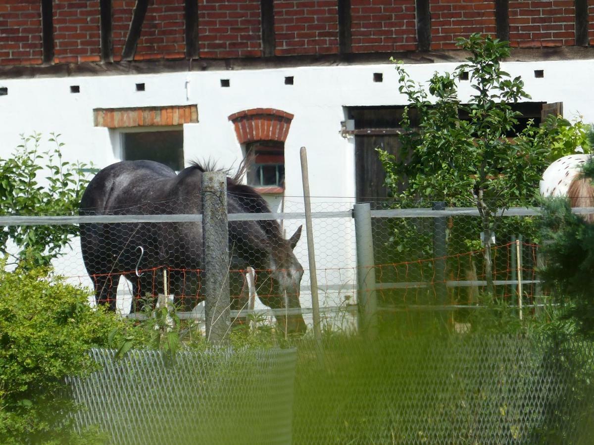 Ferienhaus Arendsee Arendsee  Buitenkant foto